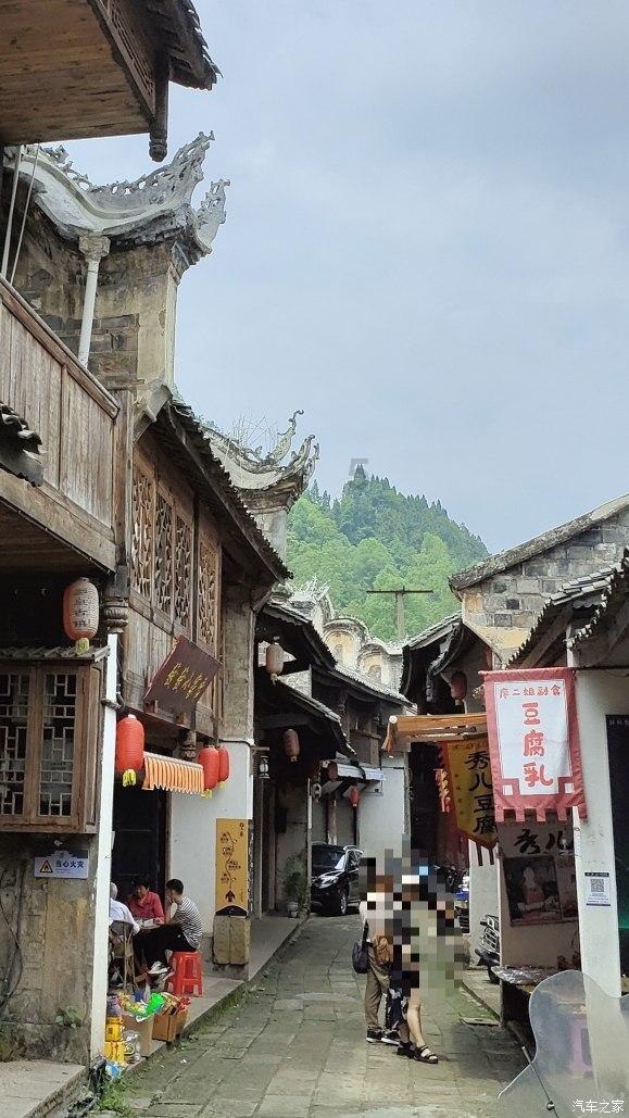 加入鸡为什么吃完东西后为什么要吃石子,解锁无限知识宝藏